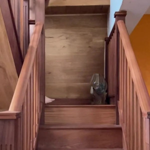 Video by bendudman published on April 9,2023 11:09:00 - BestThots