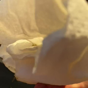 Video by bendudman published on July 29,2023 23:17:00 - BestThots