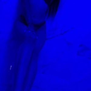 Video by marleybrinx published on July 4,2023 15:48:00 - BestThots