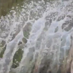 Video by anna1001 published on June 17,2023 05:47:00 - BestThots