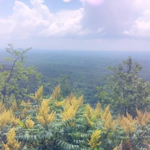 Video by realkerriking published on April 6,2023 21:33:00 - BestThots