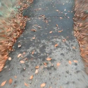 Video by realkerriking published on March 3,2023 10:42:00 - BestThots
