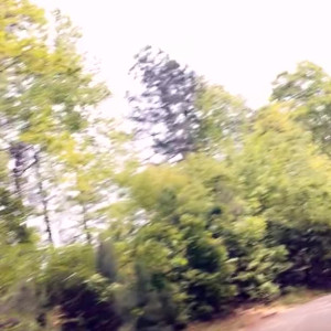 Video by realkerriking published on April 11,2023 02:46:00 - BestThots