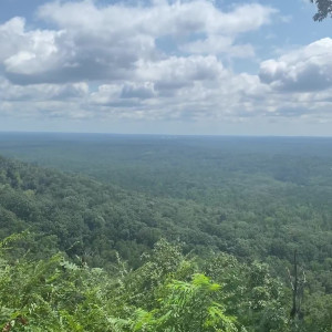 Video by realkerriking published on July 31,2023 10:19:00 - BestThots