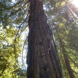 vanessa_veracruz #3940257