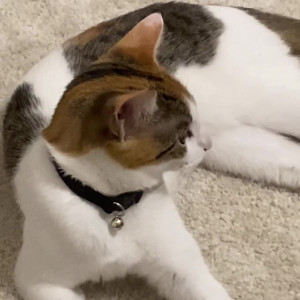 Video by jeanhollywood published on August 18,2023 08:46:00 - BestThots