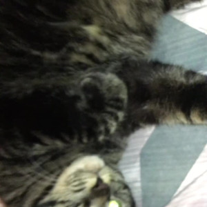 Video by stormimaya published on March 3,2023 12:16:00 - BestThots