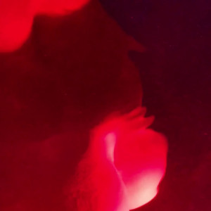 Video by belllexox published on July 10,2023 17:02:00 - BestThots