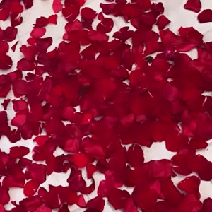 Video by creolebarbieeee published on April 21,2023 00:50:00 - BestThots