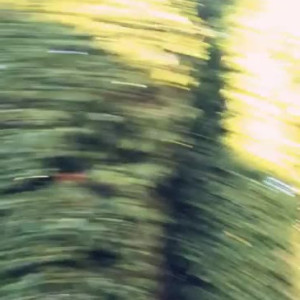 Video by creolebarbieeee published on March 21,2023 03:46:00 - BestThots