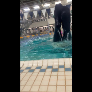 Video by fityoginina published on March 21,2023 04:33:00 - BestThots