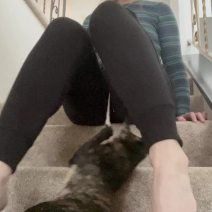 Video by fityoginina published on April 5,2023 07:59:00 - BestThots