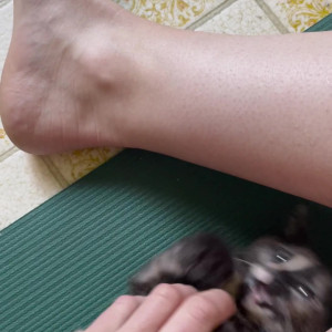 Video by fityoginina published on July 22,2023 12:32:00 - BestThots