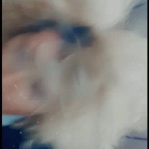 Video by humpday_addams published on April 19,2023 17:47:00 - BestThots