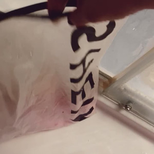 Video by didii1997 published on June 8,2023 22:31:00 - BestThots