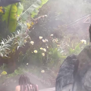 Video by irainature published on July 29,2023 01:31:00 - BestThots