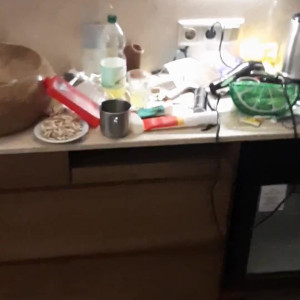 Video by hollyloly published on August 25,2023 03:33:15 - BestThots