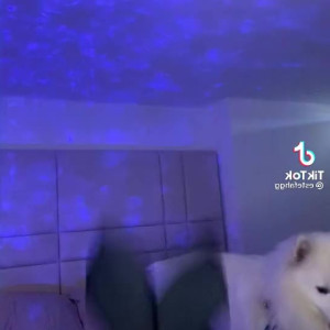 Video by estefahg published on August 3,2023 11:08:00 - BestThots