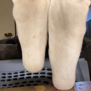 Video by queengsoles published on April 22,2023 07:23:00 - BestThots