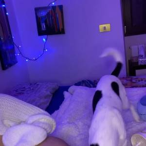 Video by n0eml published on July 13,2023 04:54:00 - BestThots
