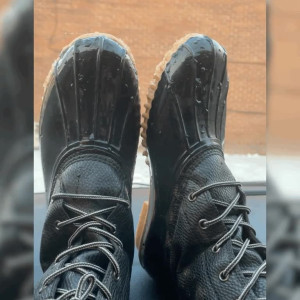 playfulsolesfree #3973960