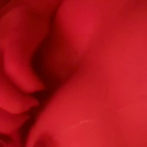 Video by thebabypaige published on June 16,2023 14:24:00 - BestThots