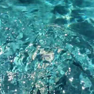 Video by thebabypaige published on August 1,2023 10:59:00 - BestThots