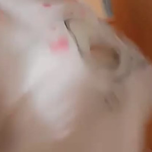 hinameow #5424609