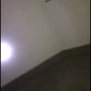 Video by giapaige published on March 4,2023 15:19:00 - BestThots