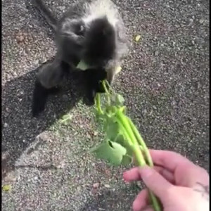 Video by giapaige published on April 17,2023 22:33:00 - BestThots