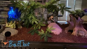 kylerquinnporn #9765758