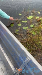 kylerquinnporn #9765786