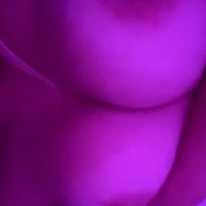 sessy #3955385