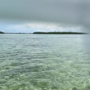 Video by jamiesynn published on March 10,2023 02:22:00 - BestThots