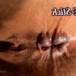 Video by fifty5passion published on August 18,2023 08:48:00 - BestThots