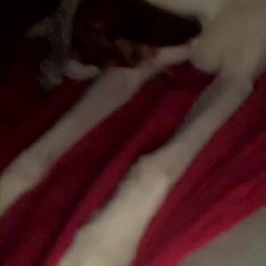 Video by adelain_white published on March 9,2023 16:51:00 - BestThots