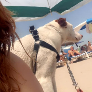 Video by adelain_white published on March 18,2023 23:08:00 - BestThots
