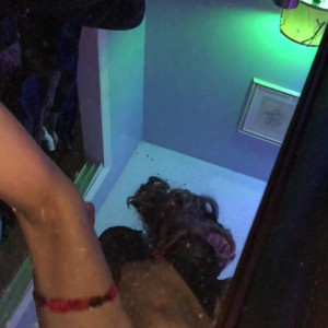 Video by yusimee published on March 18,2023 03:58:00 - BestThots