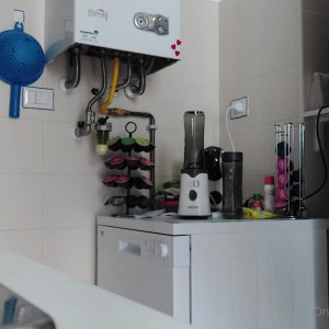 ladyabla84 #3593239