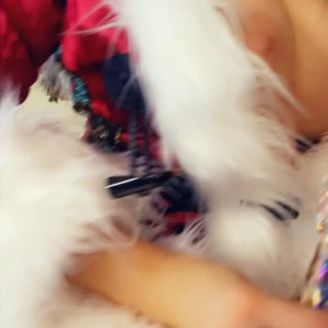 Video by k8_sarkissian published on March 29,2023 11:44:00 - BestThots