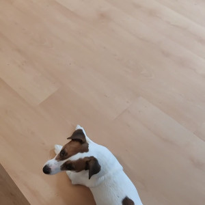 Video by floranerussell published on March 7,2023 20:14:00 - BestThots