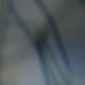 floranerussell #5356412