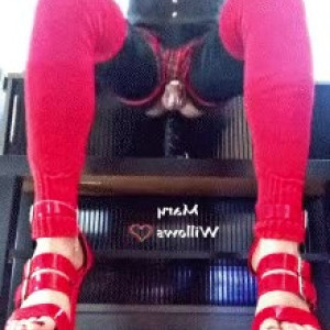 marywillows #4113299