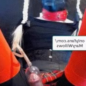 Video by marywillows published on August 1,2023 09:38:00 - BestThots