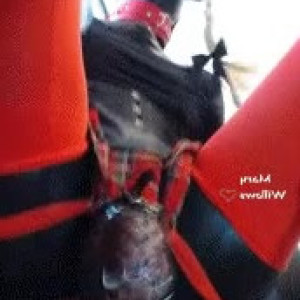 marywillows #4819004