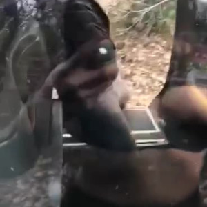 Video by daniellemaye published on May 23,2023 05:21:00 - BestThots
