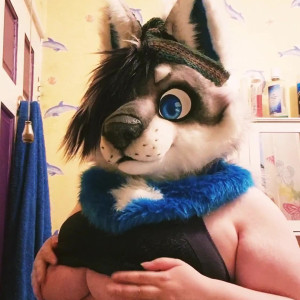 all.the.fluffies #5323527