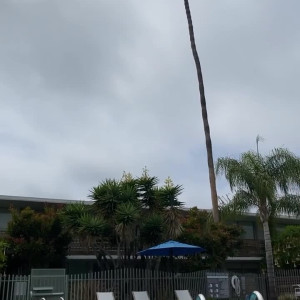 Video by 2175 published on April 6,2023 02:12:00 - BestThots