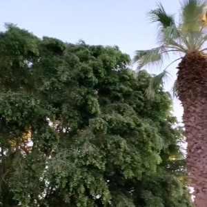 Video by 2175 published on April 29,2023 02:42:00 - BestThots