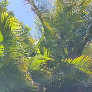 Video by 2175 published on May 1,2023 17:04:00 - BestThots
